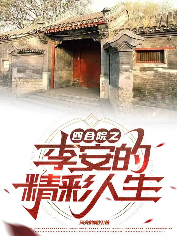 四合院安杰小说