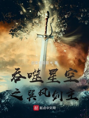 吞噬星空之巽风剑主顶点小说