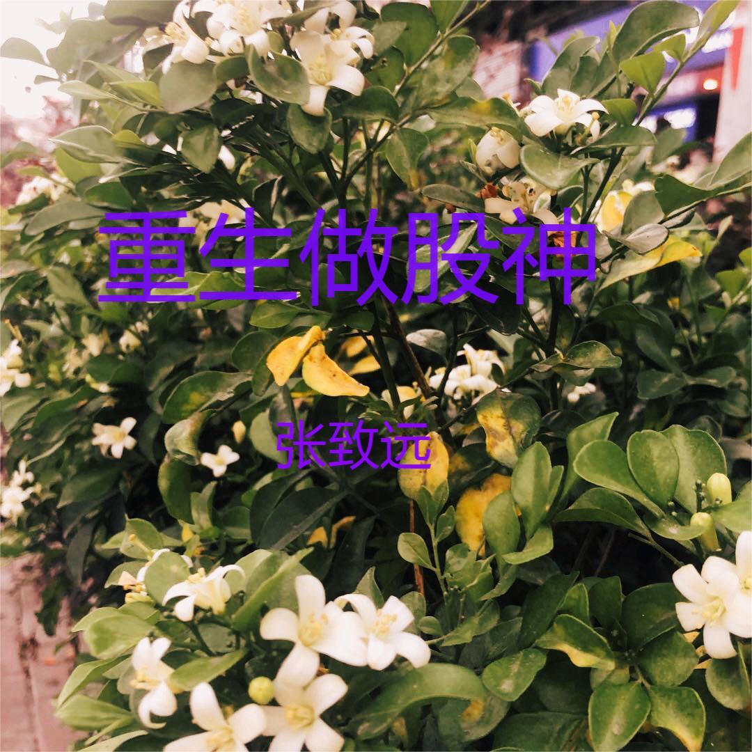 重生成了股神