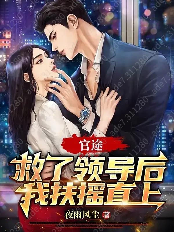 官途之扶摇直上全集