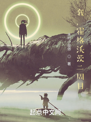 霍格沃茨之遗游戏二周目