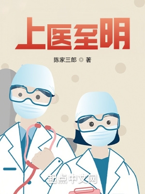 上医至明小说推荐