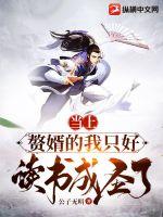 当不成赘婿只好命格成圣了无错