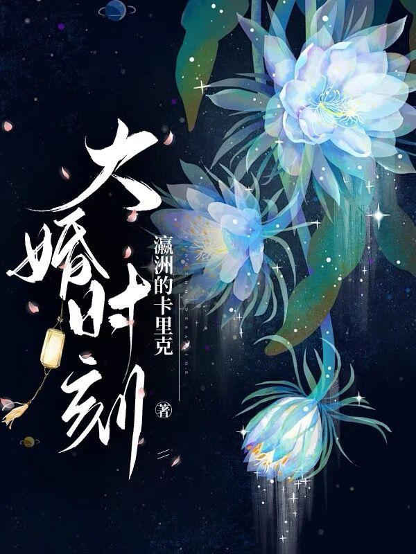 大婚晚辰全文