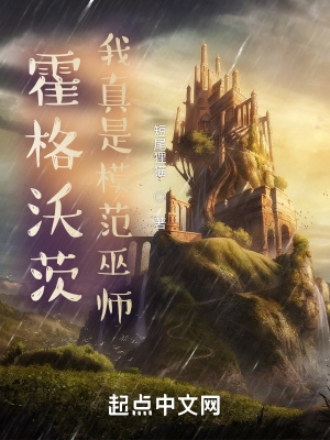 霍格沃茨我真是模范巫师笔趣阁全文