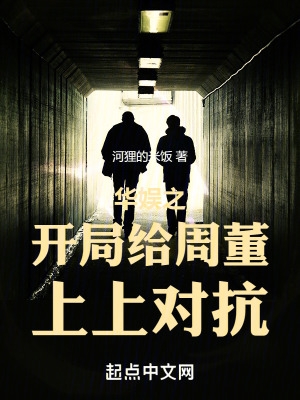 华娱巅峰之作