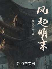 风起明末最新章节列表