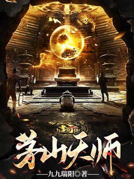 茅山天师林九小说