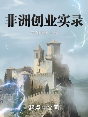 非洲创业小说