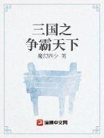 三国志群雄争霸