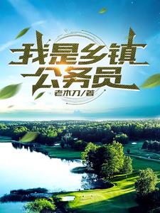 四川乡镇公务员