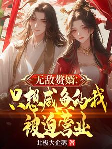 无敌赘婿完整版免费看