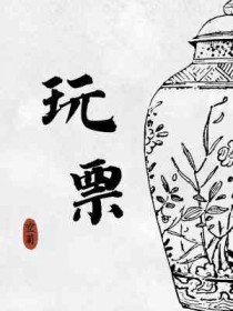 玩票by空菊txt下载未删减