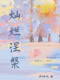 灿烂拼音