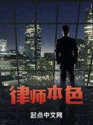 律师工作本色
