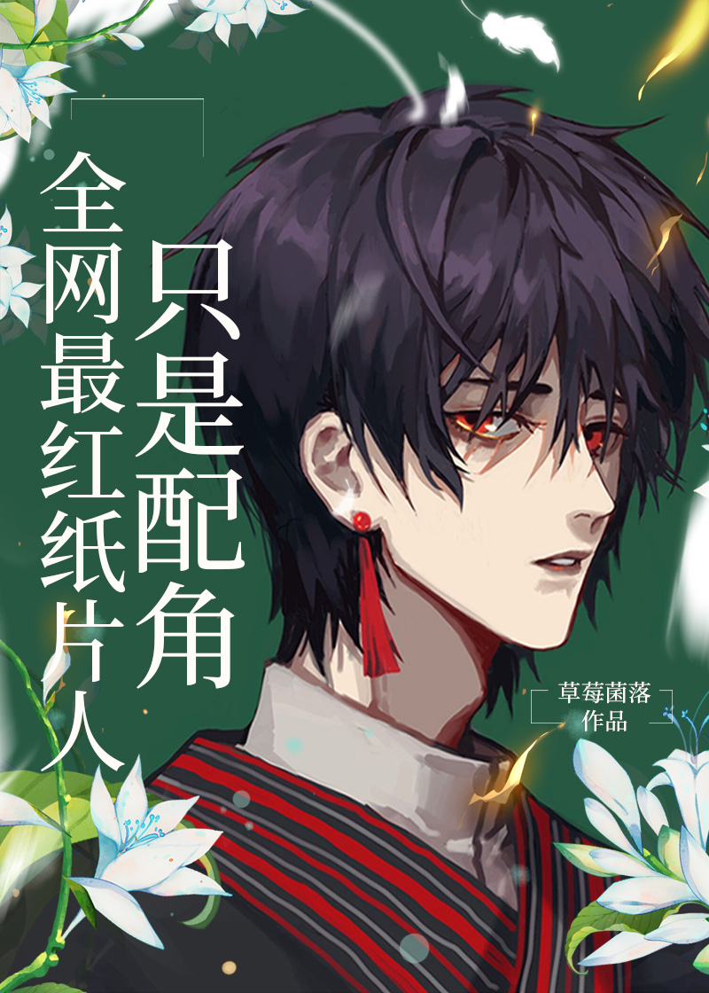 小说纸片人是什么意思