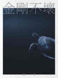 金刚不坏大寨主小说