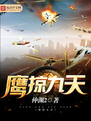 鹰掠九天txt下载全本