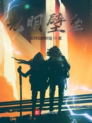 光明壁垒小说的主角能力