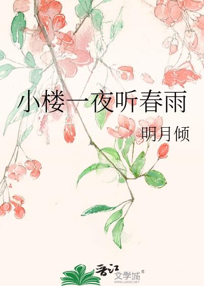小楼一夜听春雨小说 百度网盘