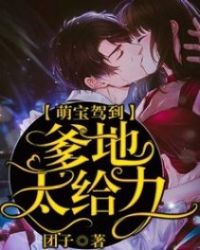 萌宝驾到:爹地快投降