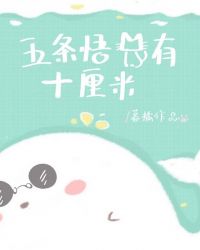 五条悟茈