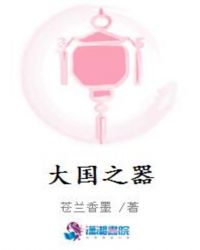 大国重器 气化炉