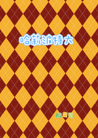 哈利波特单机游戏