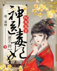 小说权宠天下之神医小毒妃