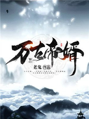 万古帝婿完整版