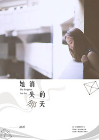 她消失的第一天小说