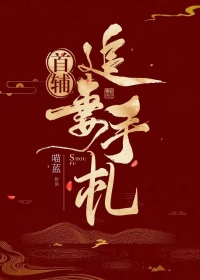 首辅追妻路